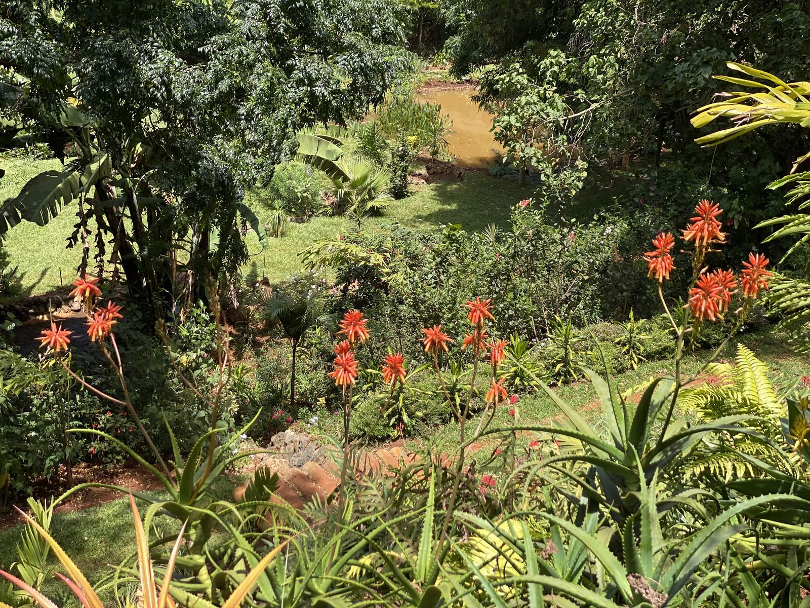 Maarifa Park - Gallery 16